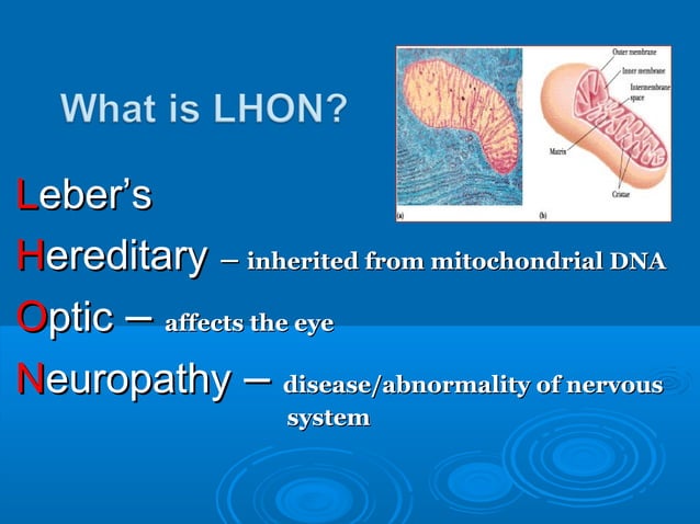 Lhon Inheritance Pattern Leber hereditary optic neuropathy | PPT