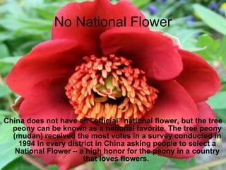 No National Flower China does not have an "official" national flower, but the tree peony can be known as a national favorite. The tree peony (mudan) received the most votes in a survey conducted in 1994 in every district in China asking people to select a National Flower – a high honor for the peony in a country that loves flowers.  