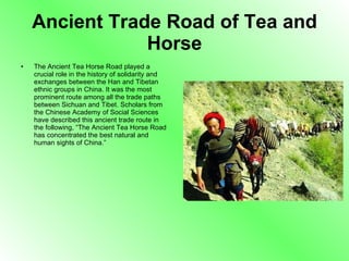 Ancient Trade Road of Tea and Horse The Ancient Tea Horse Road played a crucial role in the history of solidarity and exchanges between the Han and Tibetan ethnic groups in China. It was the most prominent route among all the trade paths between Sichuan and Tibet. Scholars from the Chinese Academy of Social Sciences have described this ancient trade route in the following, “The Ancient Tea Horse Road has concentrated the best natural and human sights of China.”  