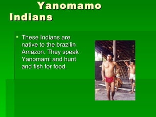 Yanomamo Indians These Indians are native to the brazilin Amazon. They speak Yanomami and hunt and fish for food. 