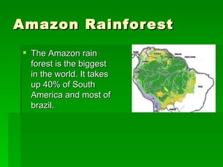 Amazon Rainforest The Amazon rain forest is the biggest in the world. It takes up 40% of South America and most of brazil. 