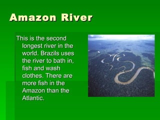 Amazon River This is the second longest river in the world. Brazils uses the river to bath in, fish and wash clothes. There are more fish in the Amazon than the Atlantic.  