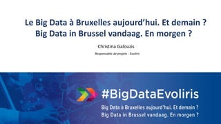 26
Le Big Data à Bruxelles aujourd’hui. Et demain ?
Big Data in Brussel vandaag. En morgen ?
Christina Galouzis
Responsable de projets - Evoliris
 