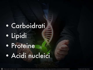 Photo by Be-Younger.com - Creative Commons Attribution-NonCommercial-ShareAlike License https://www.flickr.com/photos/92849383@N02 Created with Haiku Deck