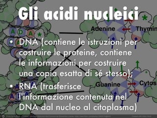 Photo by dullhunk - Creative Commons Attribution-NonCommercial-ShareAlike License https://www.flickr.com/photos/14829735@N00 Created with Haiku Deck