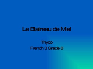 Le Blaireau de Miel Thyco French 3 Grade 8 