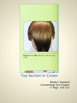 Le Blanc Revised Ltec51 Haircuttingtheory Presentation Illustrratio