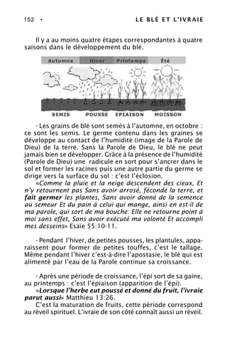 152 • LE BLÉ ET L’IVRAIE
Il y a au moins quatre étapes correspondantes à quatre
saisons dans le développement du blé.
- Les grains de blé sont semés à l’automne, en octobre :
ce sont les semis. Le germe contenu dans les graines se
développe au contact de l’humidité (image de la Parole de
Dieu) de la terre. Sans la Parole de Dieu, le blé ne peut
jamais bien se développer. Grâce à la présence de l’humidité
(Parole de Dieu) une radicule en sort pour s’ancrer dans le
sol et former les racines puis une autre partie du germe se
dirige vers la surface du sol : c’est l’éclosion.
«Comme la pluie et la neige descendent des cieux, Et
n’y retournent pas Sans avoir arrosé, fécondé la terre, et
fait germer les plantes, Sans avoir donné de la semence
au semeur Et du pain à celui qui mange, ainsi en est-il de
ma parole, qui sort de ma bouche: Elle ne retourne point à
moi sans effet, Sans avoir exécuté ma volonté Et accompli
mes desseins» Esaïe 55:10-11.
- Pendant l’hiver, de petites pousses, les plantules, appa-
raissent pour former de petites touffes, c’est le tallage.
Même pendant l’hiver c’est-à-dire l’apostasie, le blé qui est
alimenté par l’eau de la Parole continue sa croissance.
- Après une période de croissance, l’épi sort de sa gaine,
au printemps : c’est l’épiaison (apparition de l’épi).
«Lorsque l’herbe eut poussé et donné du fruit, l’ivraie
parut aussi» Matthieu 13:26.
C’est la maturation de fruits, cette période correspond
au réveil spirituel. L’ivraie de son côté connaît aussi un réveil.
 