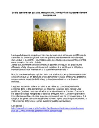 Le blé contient non pas une, mais plus de 23 000 protéines potentiellement dangereuses 
La plupart des gens ne réalisent pas que lorsque nous parlons de problèmes de santé liés au blé ou au gluten, nous ne parlons pas d’une entité monolithique, d’un unique « méchant », seul responsable des ravages que causent souvent la consommation de cette céréale. 
Après tout, comment un unique méchant pourrait provoquer les plus de 200 différents effets, observés cliniquement, nuisibles à la santé que la littérature biomédicale associe maintenant à la consommation de blé ? 
Non, le problème est que « gluten » est une abstraction, et qu’en se concentrant uniquement sur lui, on dénature profondément la véritable ampleur du problème, un peu comme la pointe de l’iceberg qui cache en-dessous une énorme menace… 
Le gluten veut dire « colle » en latin, et se réfère au complexe pâteux de protéines dans le blé, comprenant les gliadines (solubles dans l’alcool), les glutélines (solubles dans des alcalins ou acides dilués), et d’autres. Comme le blé est une espèce hexaploïde (c’est déjà effrayant, non ?), un sous-produit de trois plantes ancêtres réunies, avec pas moins de 6 lots de chromosomes et 6,5 fois plus de gènes que dans le génome humain, il peut produire pas moins de 23 788 protéines différentes - un fait aussi incroyable qu’inquiétant. 
Lien source : 
http://newsoftomorrow.org/vie/nutrition/le-ble-ne-contient-pas-une-seule-mais- plus-de-23000-proteines-potentiellement-dangereuses  