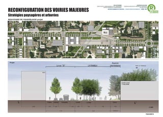 RECONFIGURATION DES VOIRIES MAJEURES
Stratégies paysagères et arborées
BOULEVARD DE YOUGOSLAVIE projet




 Projet




                                       1/200
 