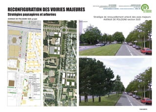 RECONFIGURATION DES VOIRIES MAJEURES
Stratégies paysagères et arborées
                                                    Stratégie de renouvellement arboré des axes majeurs
AVENUE DE POLOGNE SUD projet                                 AVENUE DE POLOGNE-section SUD
                                    Etat existant




                                    Etat projeté
 