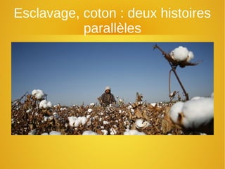 Esclavage, coton : deux histoires
parallèles
 
