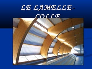 LE LAMELLE-LE LAMELLE-
COLLECOLLE
 