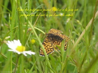 Toutes les souffrances peuvent s'oublier si la peine est
   partagée par des amis et que l'amitié la console.
 