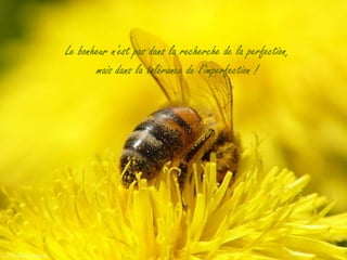 Le bonheur n'est pas dans la recherche de la perfection,
       mais dans la tolérance de l'imperfection !
 