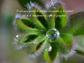 Il vaut mieux garder la nostalgie d'un paradis en le quittant
       que de le transformer en enfer en y restant.
 