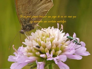 On ne peut jamais tourner une page de sa vie sans que
         s'y accroche une certaine nostalgie
 