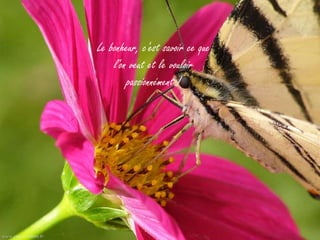 Le bonheur, c'est savoir ce que
    l'on veut et le vouloir
        passionnément !
 