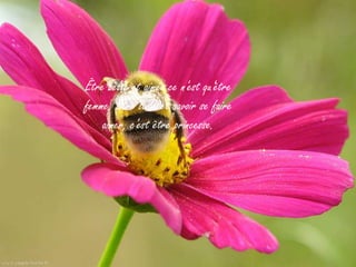 Être belle et aimée ce n'est qu'être
femme. Être laide et savoir se faire
    aimer, c'est être princesse.
 