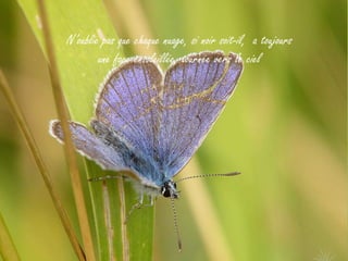 N’oublie pas que chaque nuage, si noir soit-il, a toujours
        une face ensoleillée, tournée vers le ciel
 