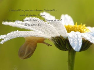 L’obscurité ne peut pas chasser l’obscurité ;
               seule la lumière le peut.
La haine ne pas chasser la haine ; seul l'amour le peut.
                   Martin Luther King
 