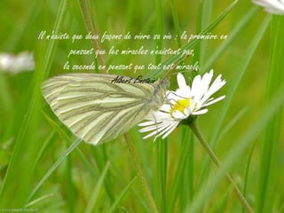 Il n'existe que deux façons de vivre sa vie : la première en
           pensant que les miracles n'existent pas,
         la seconde en pensant que tout est miracle.
                       Albert Einstein
 