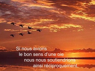 Si nous avions
le bon sens d’une oie
nous nous soutiendrions
ainsi réciproquement.
 
