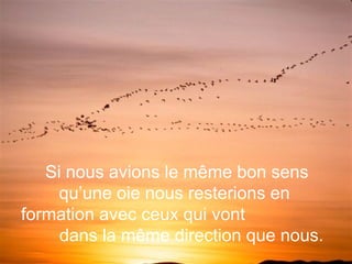 Si nous avions le même bon sens
qu’une oie nous resterions en
formation avec ceux qui vont
dans la même direction que nous.
 