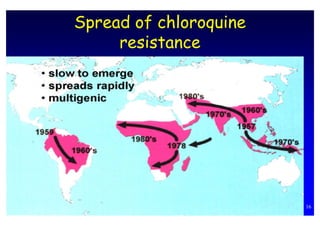 Spread of chloroquine
     resistance




                        16
 