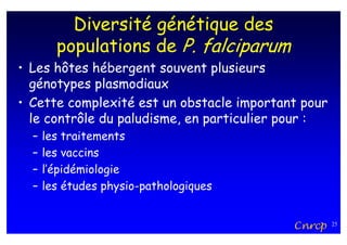Diversité génétique des
        populations de P. falciparum
• Les hôtes hébergent souvent plusieurs
  génotypes plasmodiaux
• Cette complexité est un obstacle important pour
  le contrôle du paludisme, en particulier pour :
  –   les traitements
  –   les vaccins
  –   l’épidémiologie
  –   les études physio-pathologiques


                                           Cnrcp    25
 