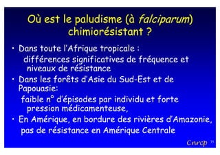 Où est le paludisme (à falciparum)
           chimiorésistant ?
• Dans toute l’Afrique tropicale :
    différences significatives de fréquence et
     niveaux de résistance
• Dans les forêts d’Asie du Sud-Est et de
  Papouasie:
   faible n° d’épisodes par individu et forte
     pression médicamenteuse,
• En Amérique, en bordure des rivières d’Amazonie,
   pas de résistance en Amérique Centrale
                                           Cnrcp   35
 
