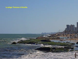La plage Teimosa à Brasilia
 