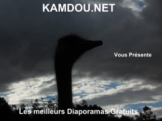 KAMDOU.NET



                          Vous Présente




Les meilleurs Diaporamas Gratuits
 