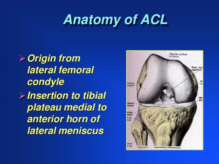 ACL Injuries in Women Athletes 2011