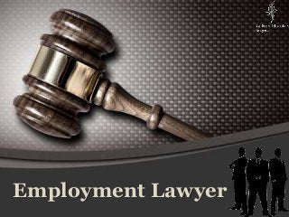 Employment Lawyer
 