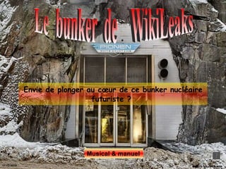 Envie de plonger au cœur de ce bunker nucléaire futuriste ?  Source :skynet & web Le  bunker  de  WikiLeaks  17-12-2010 Musical & manuel 