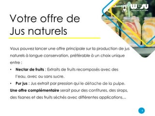 Le Business Plan Pour Une Entreprise De Vente De Jus De Fruits Nature