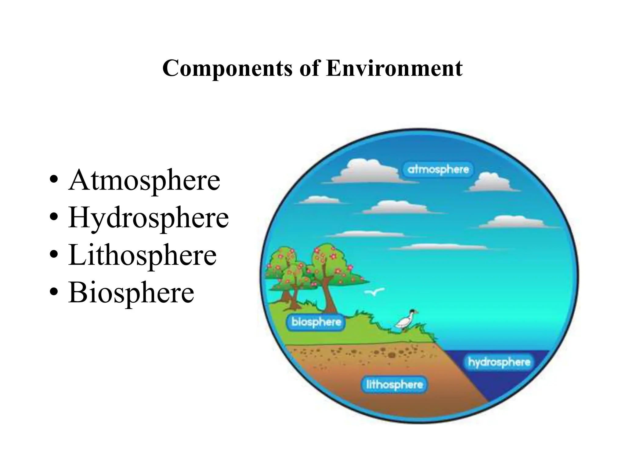 Components of Environment
• Atmosphere
• Hydrosphere
• Lithosphere
• Biosphere
 