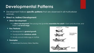 Comprehensive Introduction to Developmental Biology: Concepts, History ...