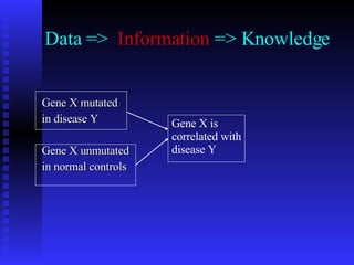 Bioinformatics | PPT