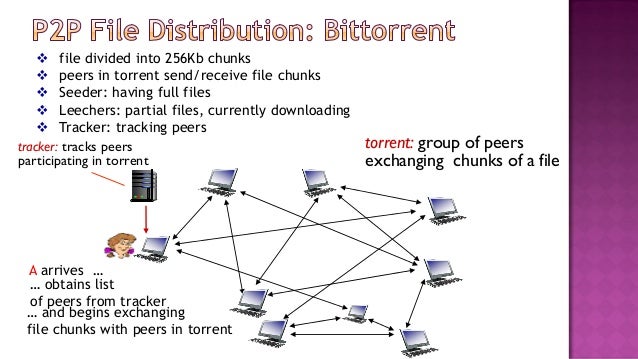 Lec 10(Peer to Per File Sharing p2p)