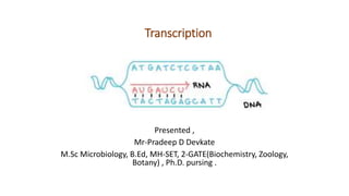 Transcription
Presented ,
Mr-Pradeep D Devkate
M.Sc Microbiology, B.Ed, MH-SET, 2-GATE(Biochemistry, Zoology,
Botany) , Ph.D. pursing .
 