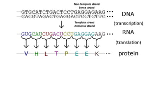 Transcription | PPTX