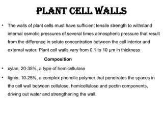 • The walls of plant cells must have sufficient tensile strength to withstand
internal osmotic pressures of several times atmospheric pressure that result
from the difference in solute concentration between the cell interior and
external water. Plant cell walls vary from 0.1 to 10 µm in thickness
Composition
• xylan, 20-35%, a type of hemicellulose
• lignin, 10-25%, a complex phenolic polymer that penetrates the spaces in
the cell wall between cellulose, hemicellulose and pectin components,
driving out water and strengthening the wall.
Plant cell walls
 