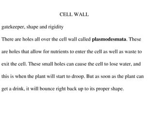 CELL WALL
gatekeeper, shape and rigidity
There are holes all over the cell wall called plasmodesmata. These
are holes that allow for nutrients to enter the cell as well as waste to
exit the cell. These small holes can cause the cell to lose water, and
this is when the plant will start to droop. But as soon as the plant can
get a drink, it will bounce right back up to its proper shape.
 
