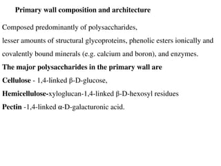 Primary wall composition and architecture
Composed predominantly of polysaccharides,
lesser amounts of structural glycoproteins, phenolic esters ionically and
covalently bound minerals (e.g. calcium and boron), and enzymes.
The major polysaccharides in the primary wall are
Cellulose - 1,4-linked β-D-glucose,
Hemicellulose-xyloglucan-1,4-linked β-D-hexosyl residues
Pectin -1,4-linked α-D-galacturonic acid.
 