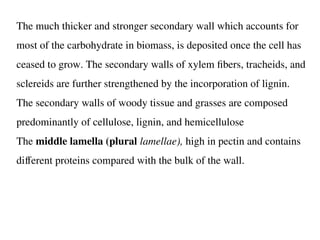 The much thicker and stronger secondary wall which accounts for
most of the carbohydrate in biomass, is deposited once the cell has
ceased to grow. The secondary walls of xylem fibers, tracheids, and
sclereids are further strengthened by the incorporation of lignin.
The secondary walls of woody tissue and grasses are composed
predominantly of cellulose, lignin, and hemicellulose
The middle lamella (plural lamellae), high in pectin and contains
different proteins compared with the bulk of the wall.
 