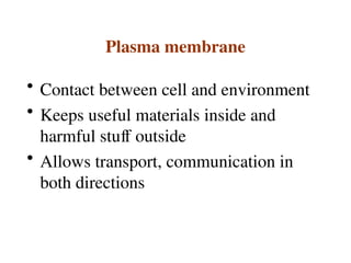 Plasma membrane
• Contact between cell and environment
• Keeps useful materials inside and
harmful stuff outside
• Allows transport, communication in
both directions
 