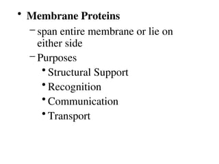 • Membrane Proteins
– span entire membrane or lie on
either side
– Purposes
• Structural Support
• Recognition
• Communication
• Transport
 