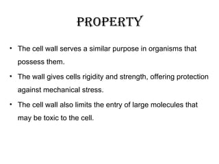 • The cell wall serves a similar purpose in organisms that
possess them.
• The wall gives cells rigidity and strength, offering protection
against mechanical stress.
• The cell wall also limits the entry of large molecules that
may be toxic to the cell.
property
 